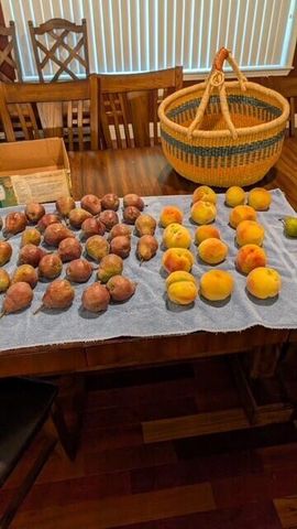 3510 Small Court, Klamath Falls, OR 97603