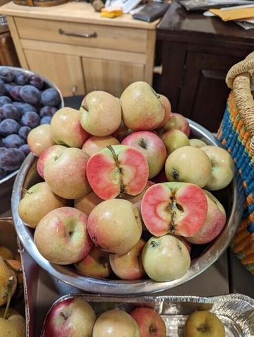 3510 Small Court, Klamath Falls, OR 97603