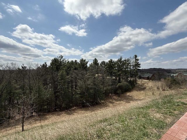 475 Overlook Court, Warrens, WI 54666