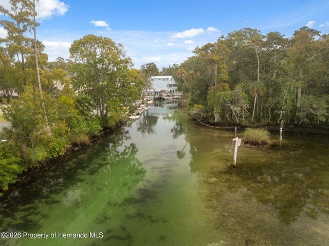 5527 Darlene Street, Weeki Wachee, FL 34607