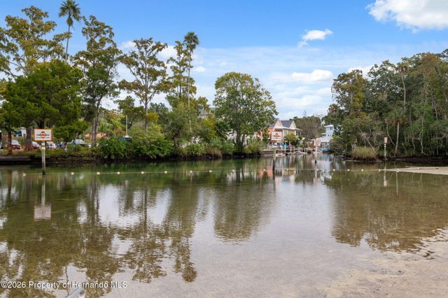 5527 Darlene Street, Weeki Wachee, FL 34607