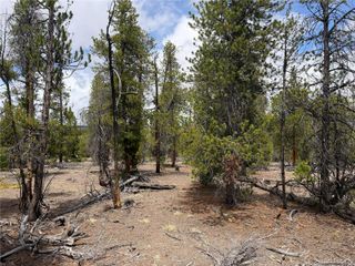 341 Lodgepole Drive, Leadville, CO 80461