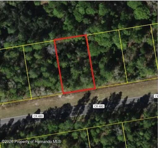 6407 W Oak Park Boulevard, Homosassa, FL 34446