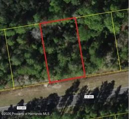 6407 W Oak Park Boulevard, Homosassa, FL 34446