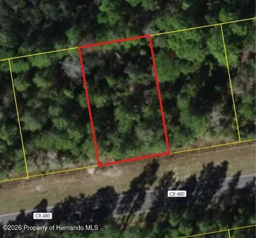 6407 W Oak Park Boulevard, Homosassa, FL 34446