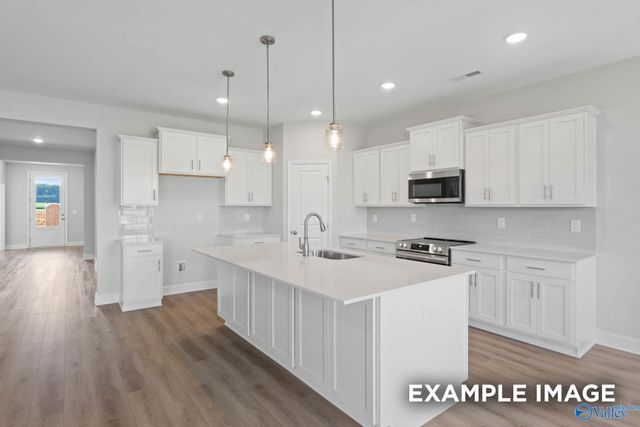 20902 English Ivy Lane, Athens, AL 35611