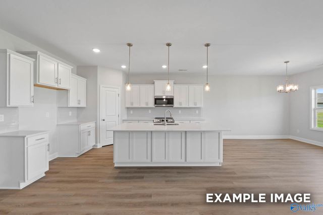 20902 English Ivy Lane, Athens, AL 35611