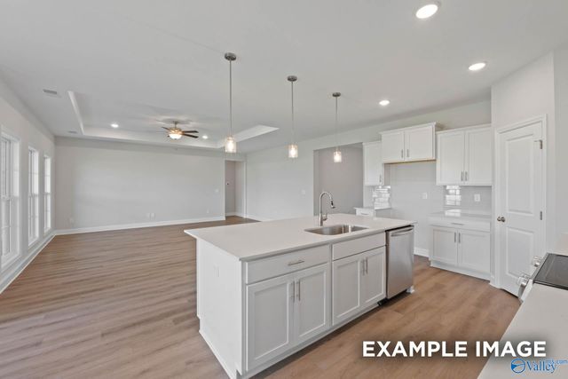 20902 English Ivy Lane, Athens, AL 35611