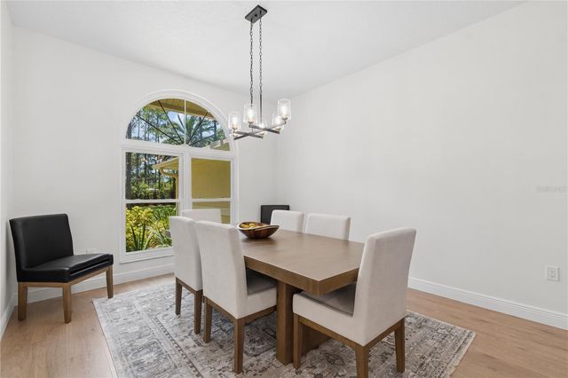 18811 VICTOR MANUEL DRIVE, Lutz, FL 33548