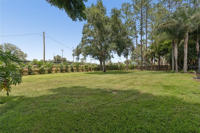 18811 VICTOR MANUEL DRIVE, Lutz, FL 33548