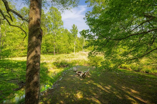 459 Mill Stone Mountain, Blue Ridge, GA 30513