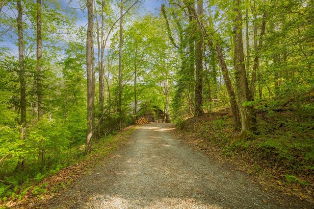 459 Mill Stone Mountain, Blue Ridge, GA 30513