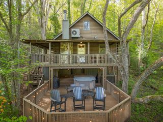 459 Mill Stone Mountain, Blue Ridge, GA 30513