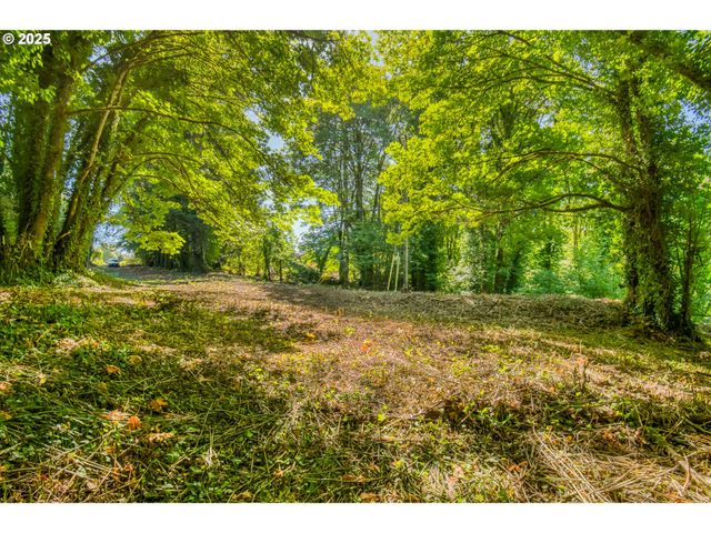 0 Se Palmer Ln, Dayton, OR 97114