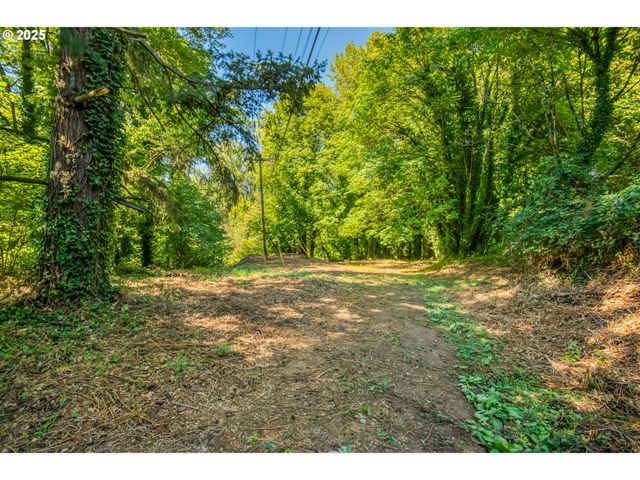 0 Se Palmer Ln, Dayton, OR 97114