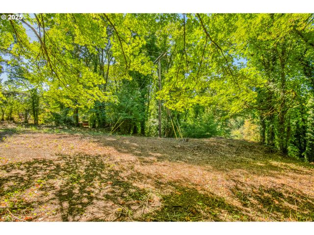 0 Se Palmer Ln, Dayton, OR 97114