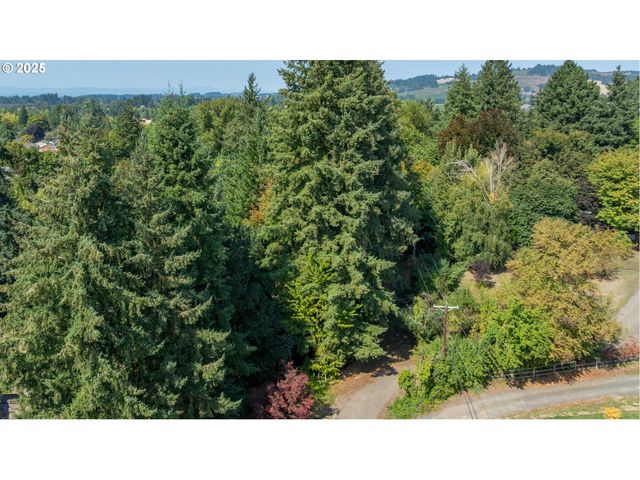 0 Se Palmer Ln, Dayton, OR 97114