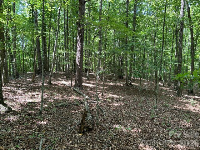 0 Wilderness Ridge 4, Rutherfordton, NC 28139