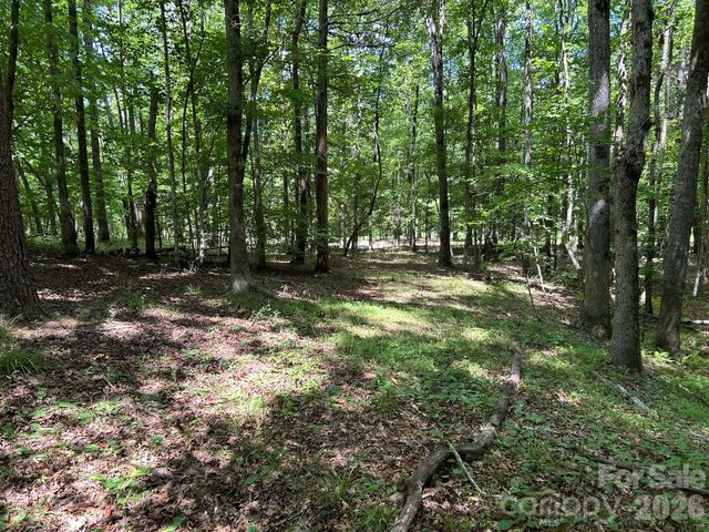 0 Wilderness Ridge 4, Rutherfordton, NC 28139