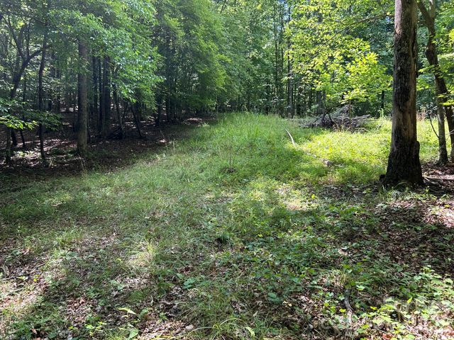 0 Wilderness Ridge 4, Rutherfordton, NC 28139