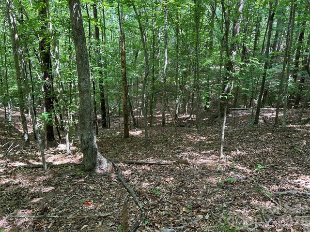 0 Wilderness Ridge 4, Rutherfordton, NC 28139