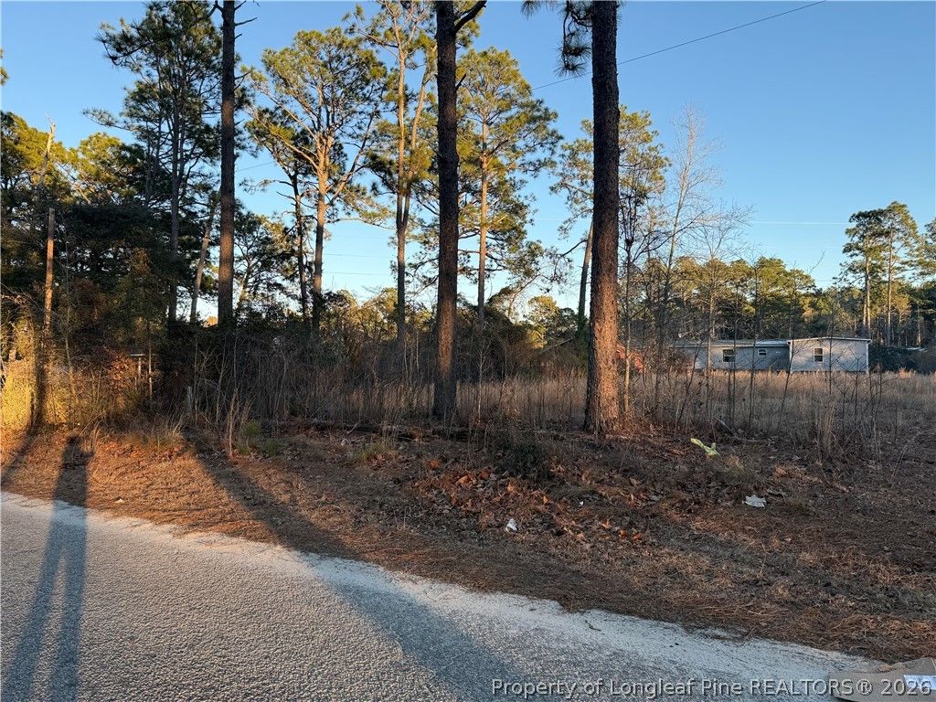 4821 Madison Drive, Hope Mills, NC 28348 — photo 2