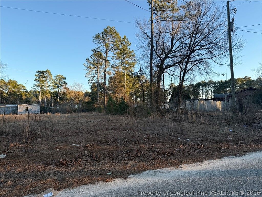4821 Madison Drive, Hope Mills, NC 28348 — photo 3