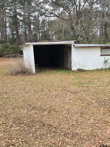 2512 Iron Rd, Diana, TX 75640