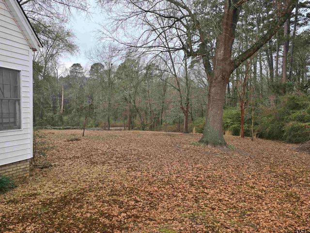 2512 Iron Rd, Diana, TX 75640