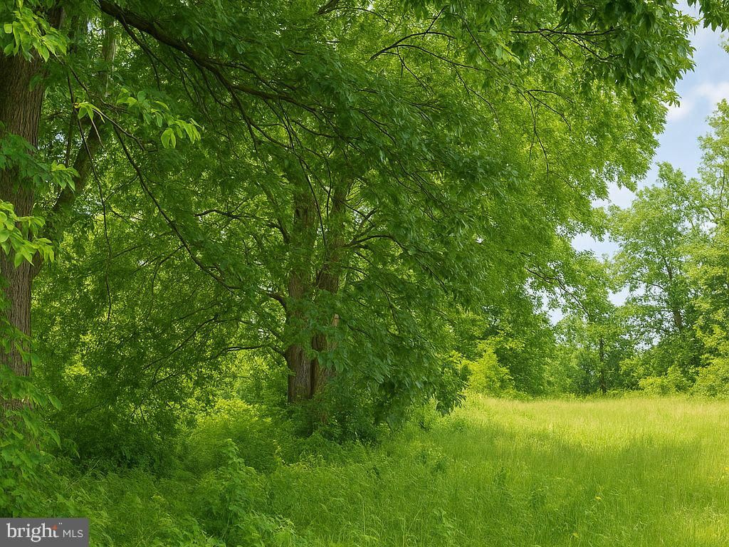 36645 WOODBUSH DR, Bushwood, MD 20618