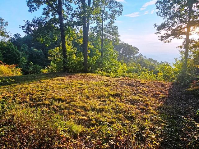 Lot 45 Timberwood Drive, Marble, NC 28905
