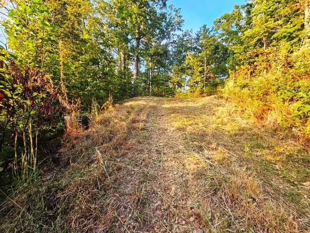 Lot 45 Timberwood Drive, Marble, NC 28905