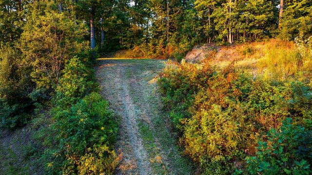 Lot 45 Timberwood Drive, Marble, NC 28905