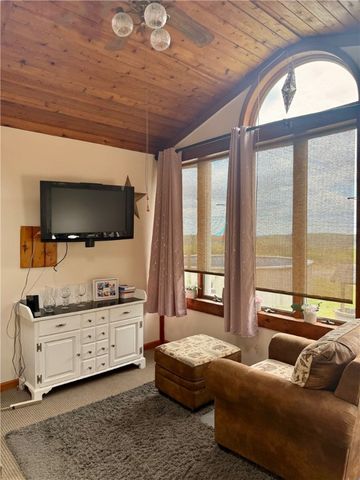 167 Austin Hill Road, Erin, NY 14838