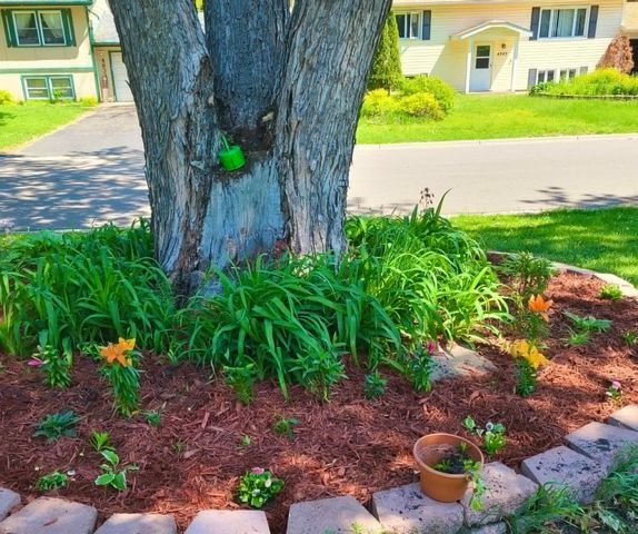 4842 104th Avenue NE, Circle Pines, MN 55014