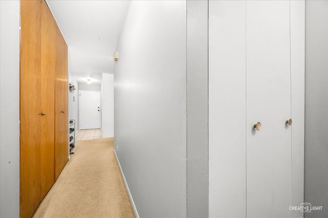 2928 Roberts Drive 8, Woodridge, IL 60517