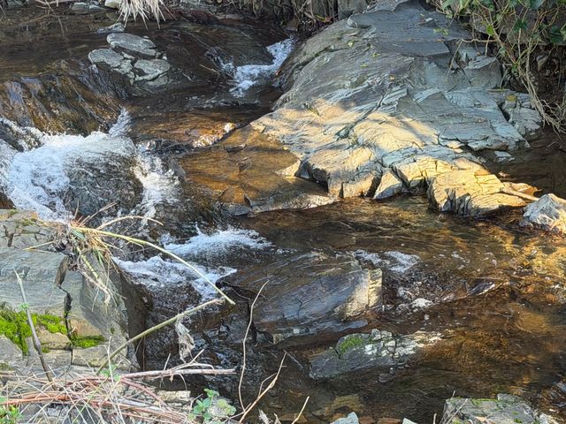 325 Union St, Auburn, CA 95603