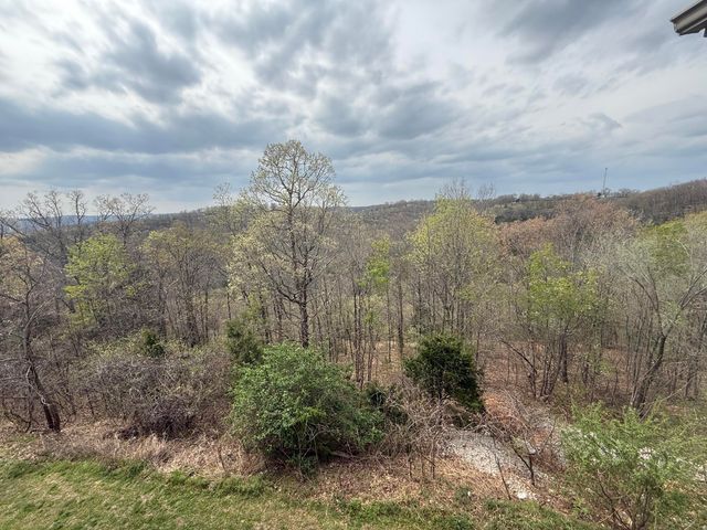 260 Toni Lane D, Branson, MO 65616