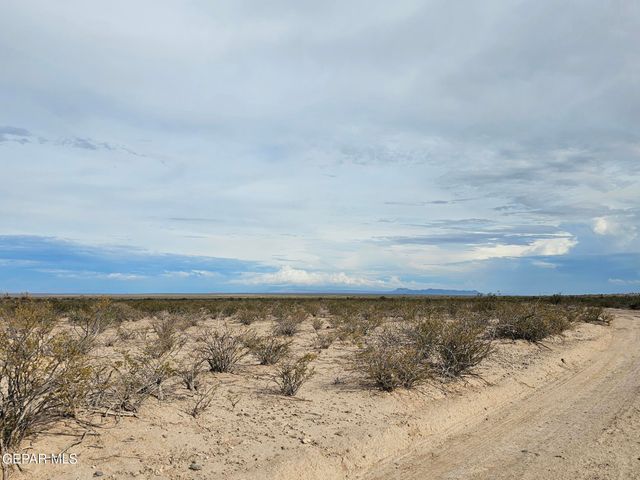 70 TSP 1 SEC 40 T & P LOT 29, Dell City, TX 79837