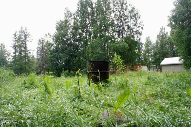 940 S Serrano Drive, Wasilla, AK 99654