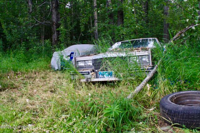 940 S Serrano Drive, Wasilla, AK 99654