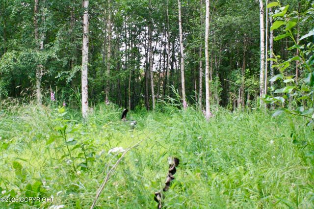 940 S Serrano Drive, Wasilla, AK 99654