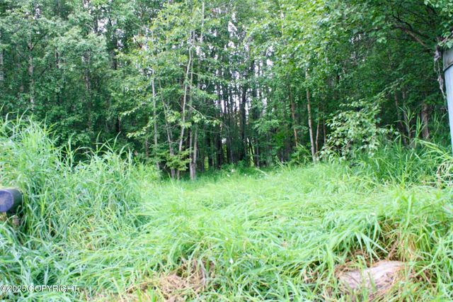 940 S Serrano Drive, Wasilla, AK 99654