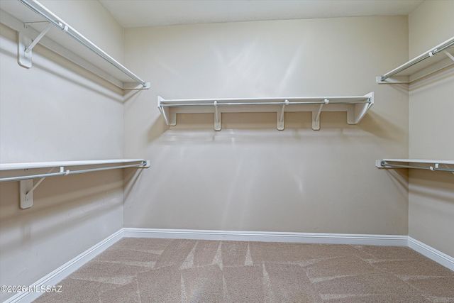 10088 S Black Surrey Drive, Vail, AZ 85641