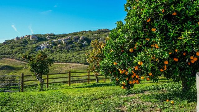 5930 Camino Baja Cerro, Fallbrook, CA 92028