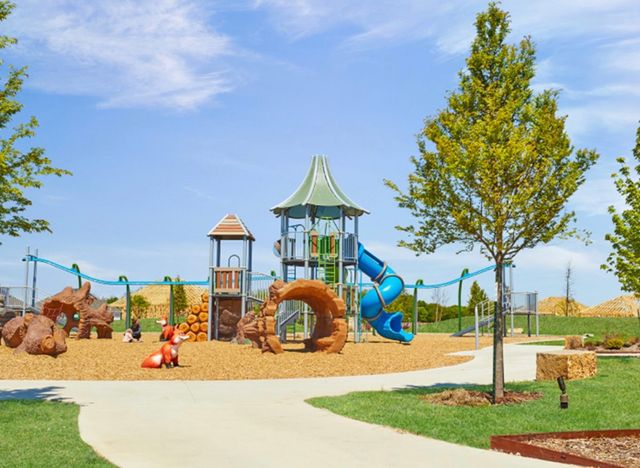 8608 Whistling Duck Drive, Mckinney, TX 75071