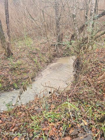 2949 Highway 321, Parrottsville, TN 37843