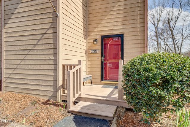 205 Windridge Colony -, Johnson City, TN 37601