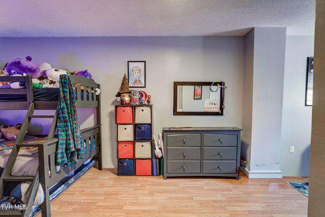 205 Windridge Colony -, Johnson City, TN 37601