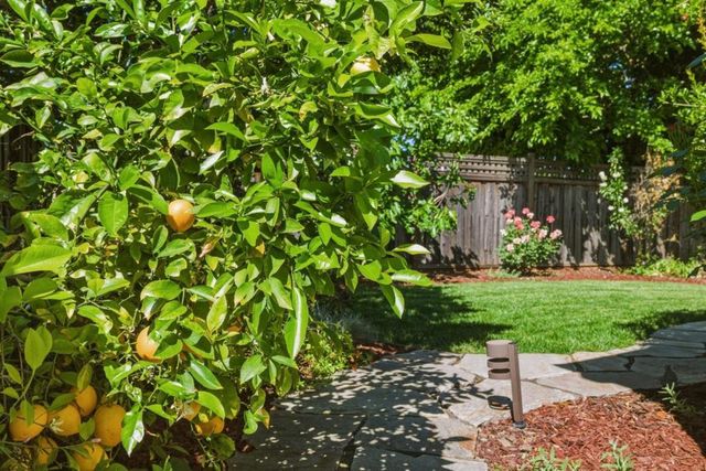 6235 Tillamook, San Jose, CA 95123